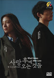 What Comes After Love Korean Drama  DVD - TV Series with English Subtitles