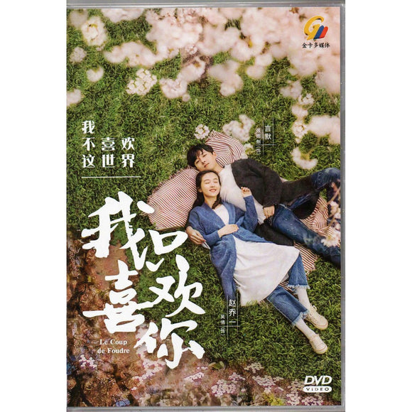  King's Avatar (Chinese TV Series, English Sub,10-DVD