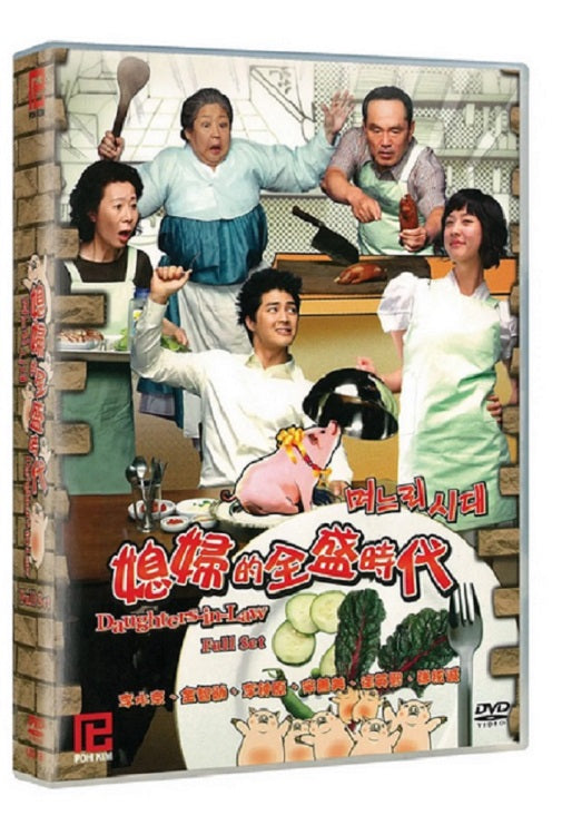 DAUGHTERS IN LAW Korean DVD - TV Series (NTSC)