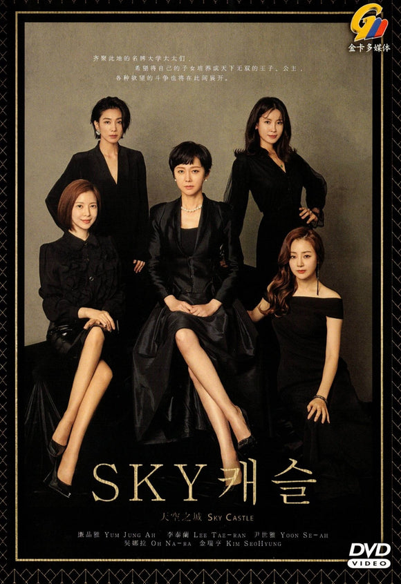 SKY CASTLE Korean Drama DVD - TV Series (NTSC)