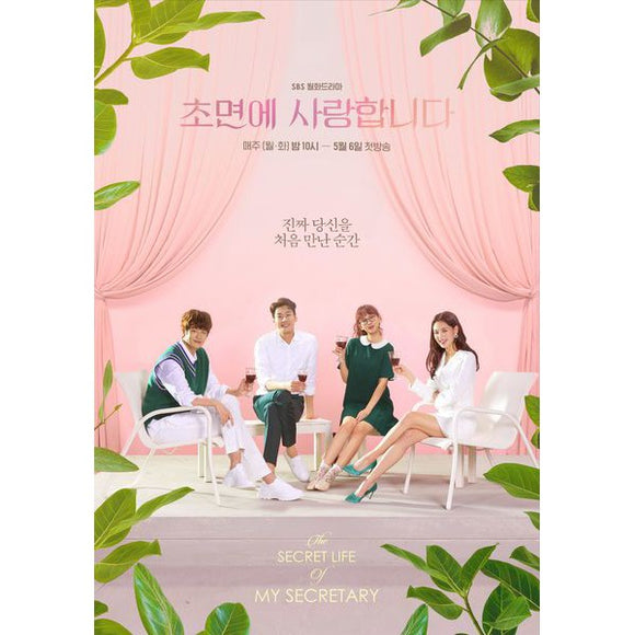 The Secret Life of My Secretary Korean TV Series - Drama  DVD (NTSC - All Region)