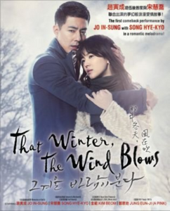 That Winter,The Wind Blows Korean Drama DVD Complete Tv Series - Original K-Drama DVD Set
