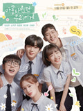 A Love so Beautiful 2020 Korean  TV Series - Drama  DVD (NTSC- All Region)